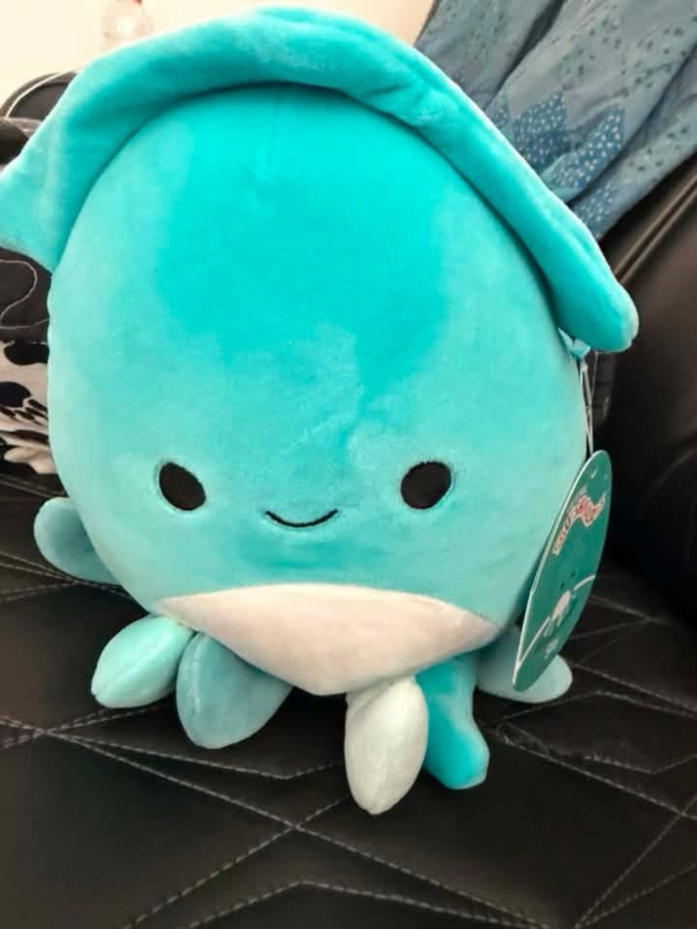 NWT Squishmallow